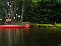 14971ReRoCrLeSh - Neighbour's canoe, after the rain.JPG